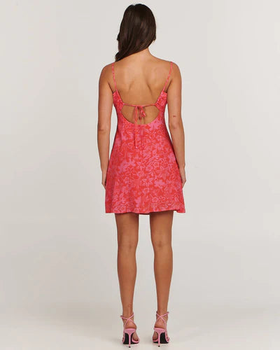 Charlie holiday red patterned mini dress
