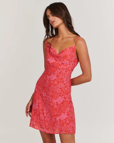 Charlie holiday red patterned mini dress New Zealand